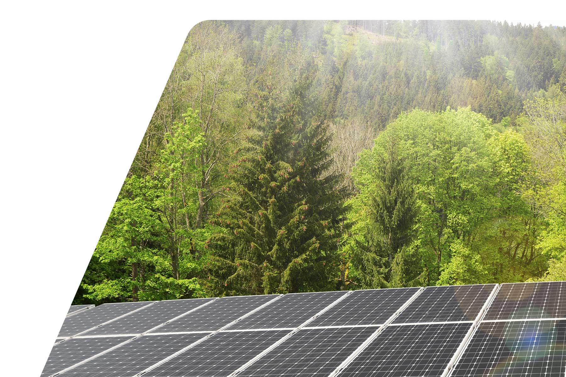 photovoltaic system for green electricity