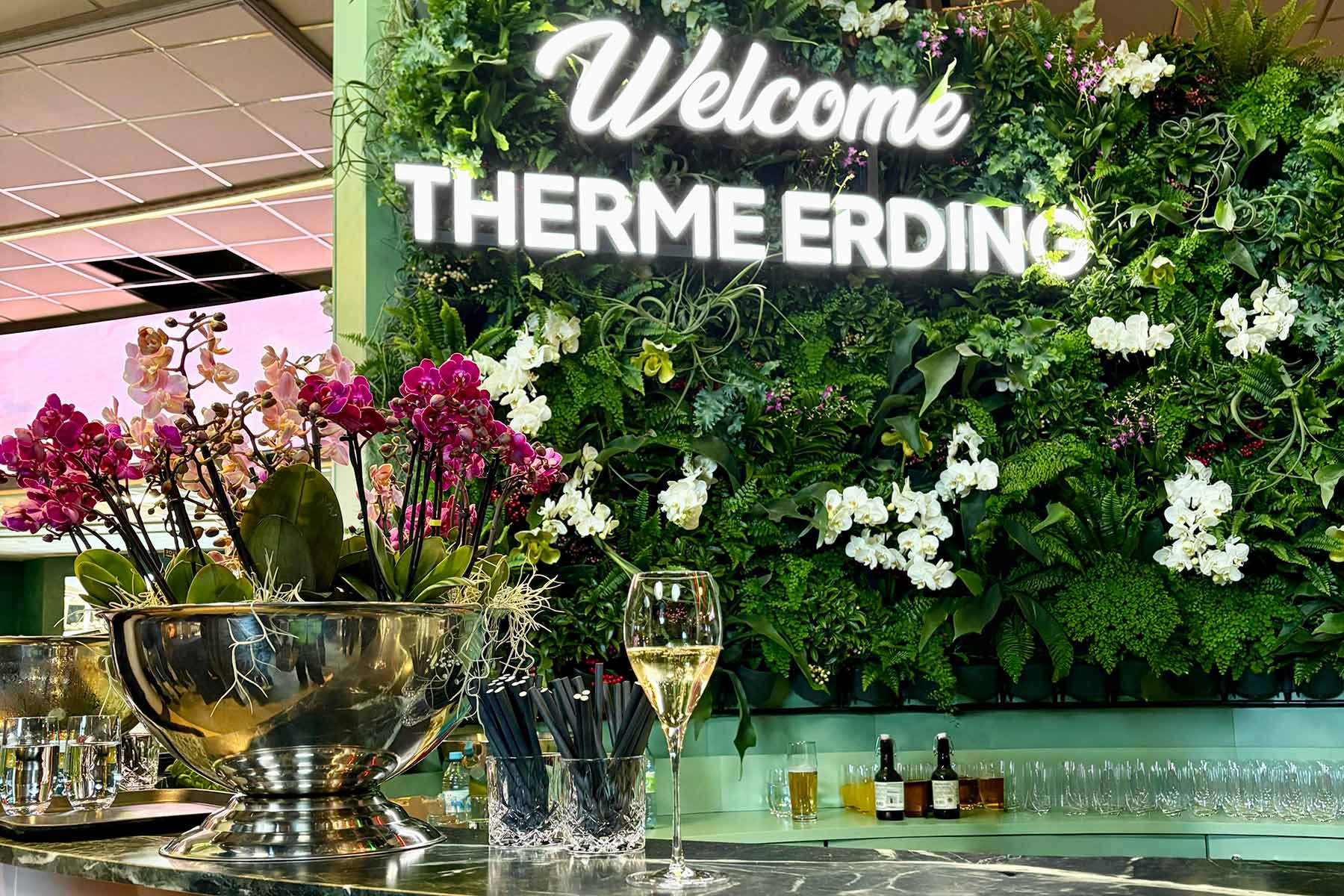 Grüne Mooswand mit Leuchtschriftzug Welcome Therme Erding