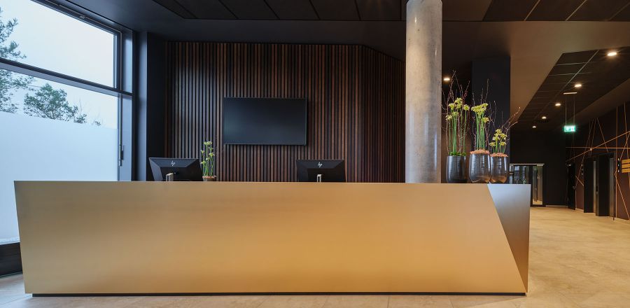 Ausbau und Einrichtung von Arbweitswelten - Einzigartiger Empfang eines Bürogebäudes